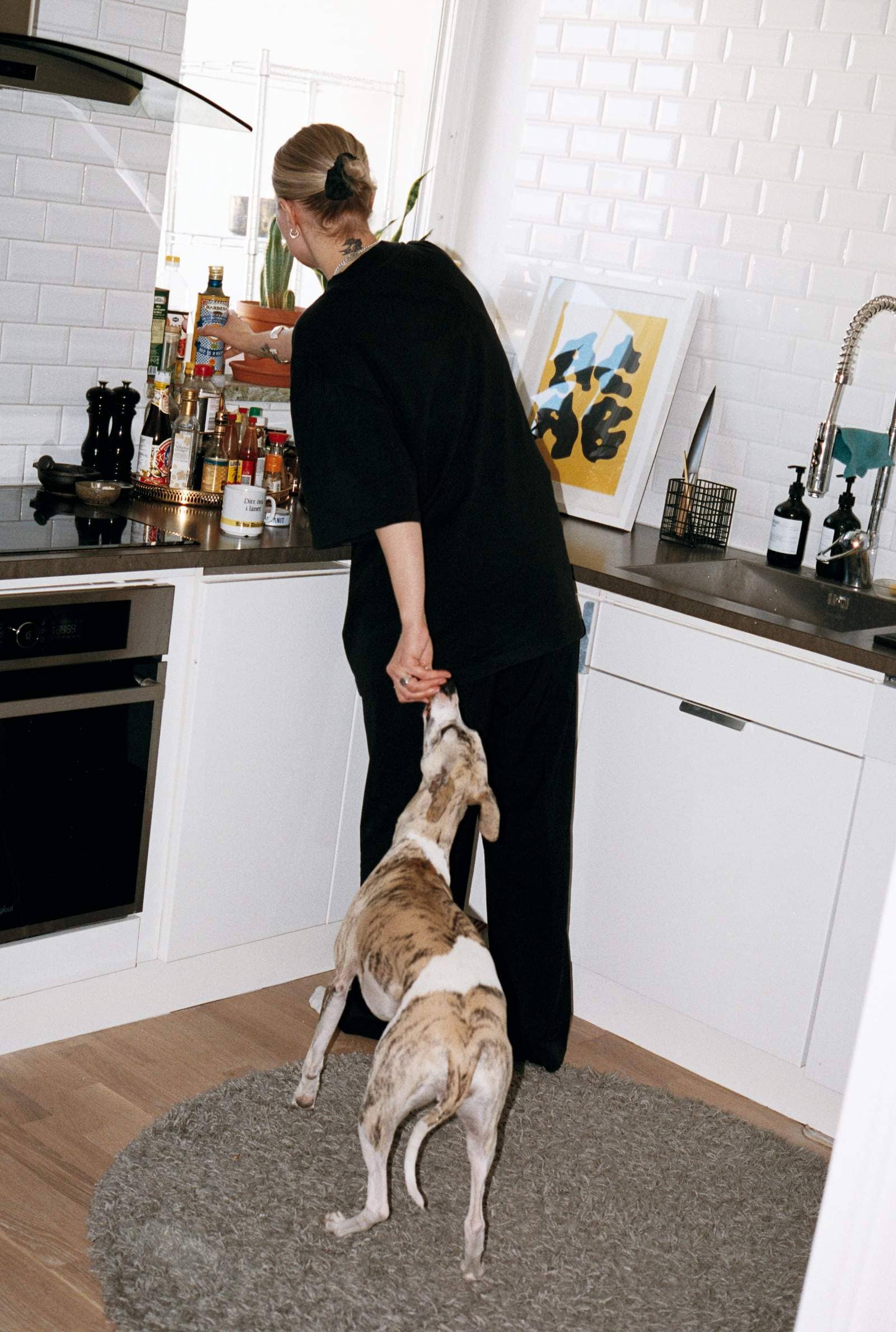 En hund provsmakar mat ur kvinnas hand i köket