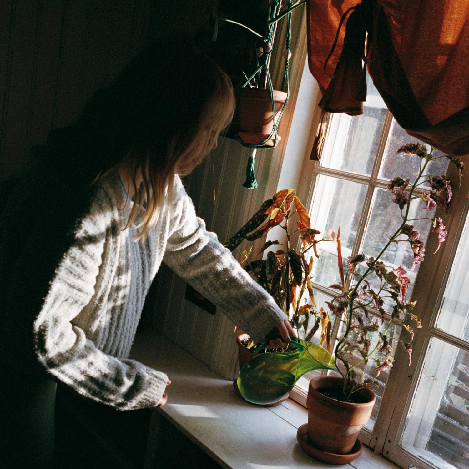 En kvinna vattnar en blomkruka som står i fönstret